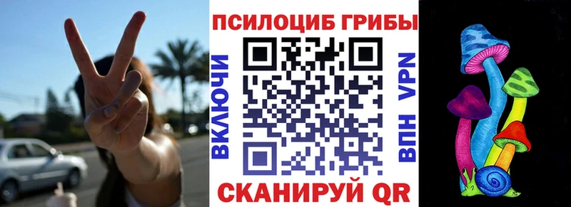Купить  Волчанск  Псилоцибиновые грибы прущие грибы 