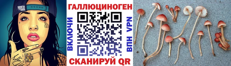 Галлюциногенные грибы ЛСД Волчанск